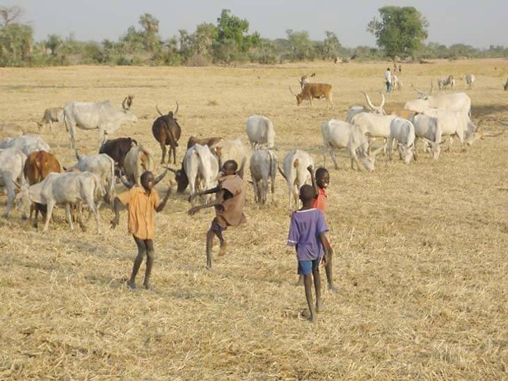 South Sudan boys playing in field