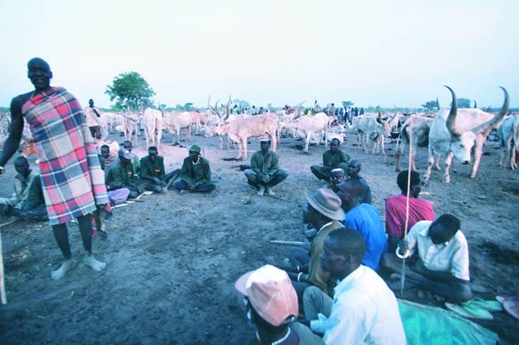 South Sudan Dinka in field with cows