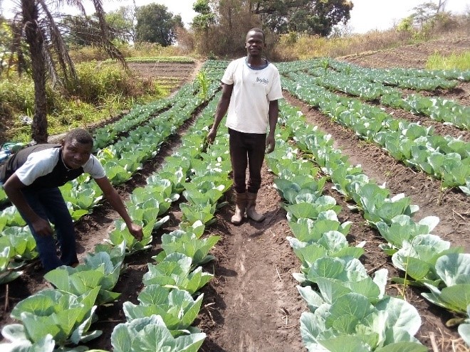 Transforming agriculture in Riimenze